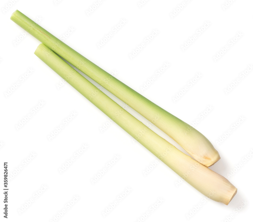 fresh lemongrass isolated on white background, top view fresh lemongrass isolated on white background, top view