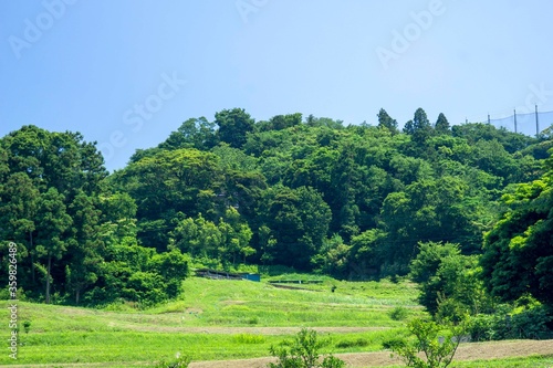 新緑の風景