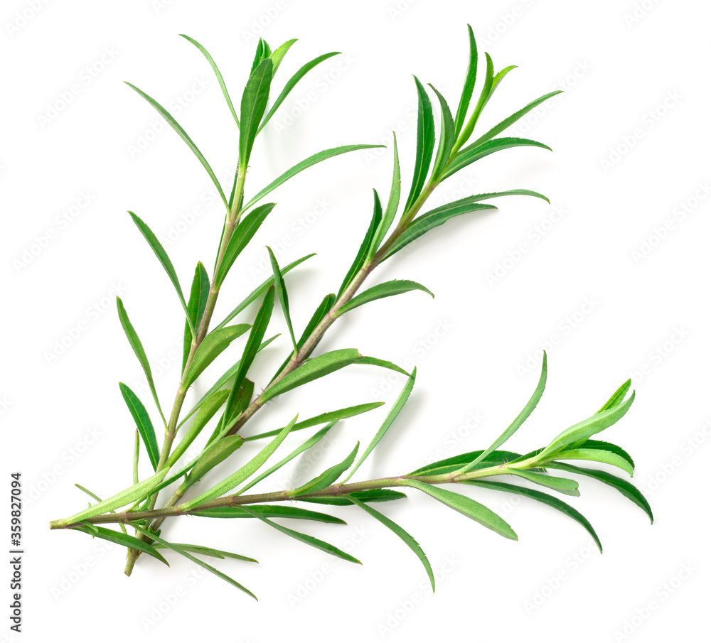 Fototapeta premium fresh sweet marigold twigs isolated on white background, top view