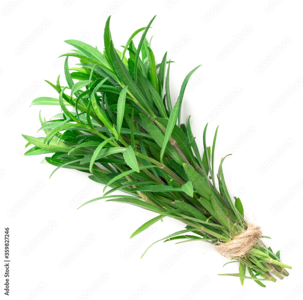 Fototapeta premium fresh sweet marigold twigs isolated on white background, top view