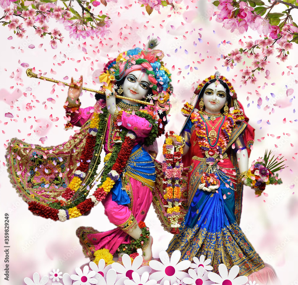 Hindu God Radha Krishna Iskcon Temple With Nice Dressup And Rose Petals background Wallpaper Design