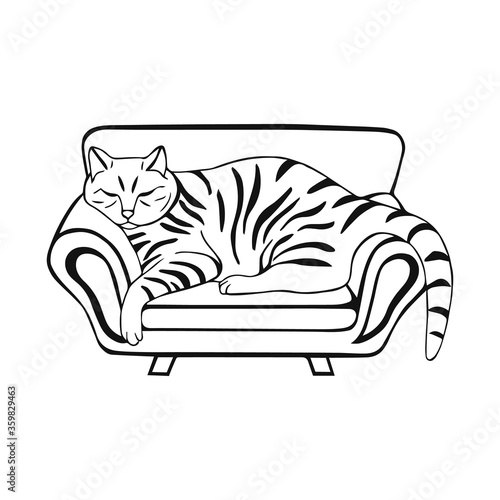Cat on the couch. Hand drawn vector illustration with a pet on the couch. Expressive graphic print and design element. Perfect for poster, card, sticker, textile print,  t-shirt print, flyer.
