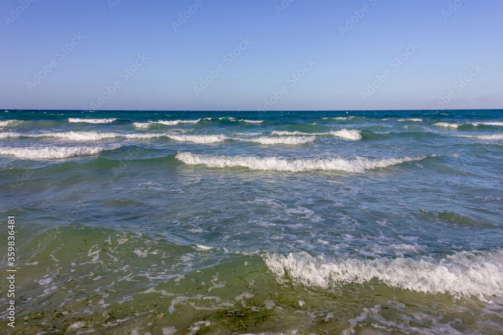 Surf after low tide in the Mediterranean Sea. Algae and waves.