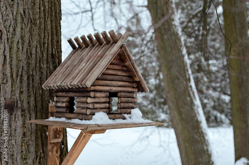 Nesting box in winter, Pavlovsk © Алексей Сыркин