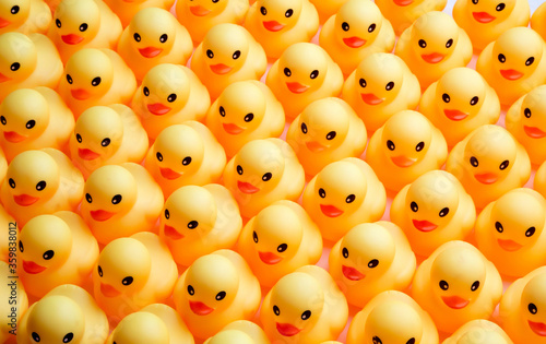 Fotografia, Obraz a lot of rubber ducks standing in a order