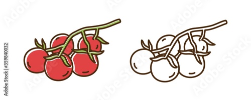 Bright cherry tomatoes on branch vector illustration in line art style. Set of colorful and monochrome organic red tomato isolated on white background. Cute edible fresh vegetables