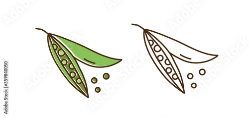 Set of colorful and monochrome pea vector illustration. Cute organic natural peas in line art design. Cultivated pod with design element isolated on white. Seasonal healthy ingredient