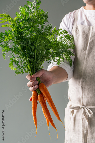 Bunch of fresh carrots in man’s hand.
 
 