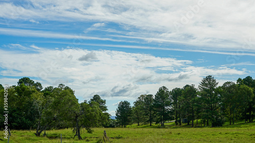 Country scene with green grass, trees, beautiful clouds and blue sky.