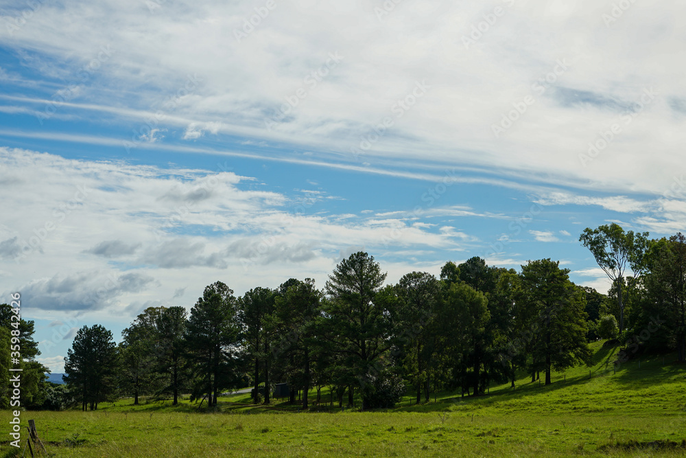 Country scene: view across green grass to trees on a hillside with beautiful clouds in blue sky.  Scenic Rim, Queensland, Australia.