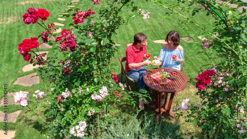 Young couple enjoying food and wine in beautiful roses garden on romantic date, aerial top view from above of man and woman eating and drinking together outdoors in park 