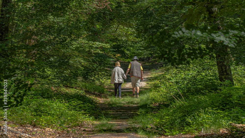 Couple in the forest Couple in the forest