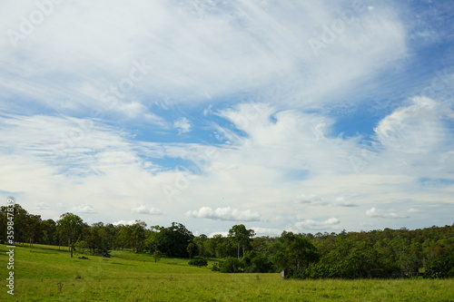 Beautiful blue sky with cirrostratus clouds, green grass and trees in the foreground.