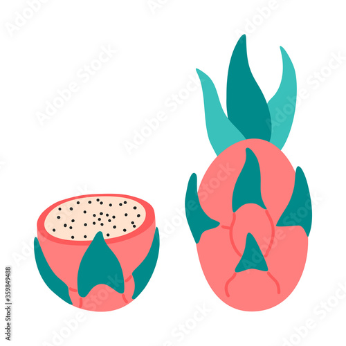 Concept of fresh dragon fruit whole, half in flat style. Hand drawn graphic elements of vegetarian citrus food. Vector illustration.