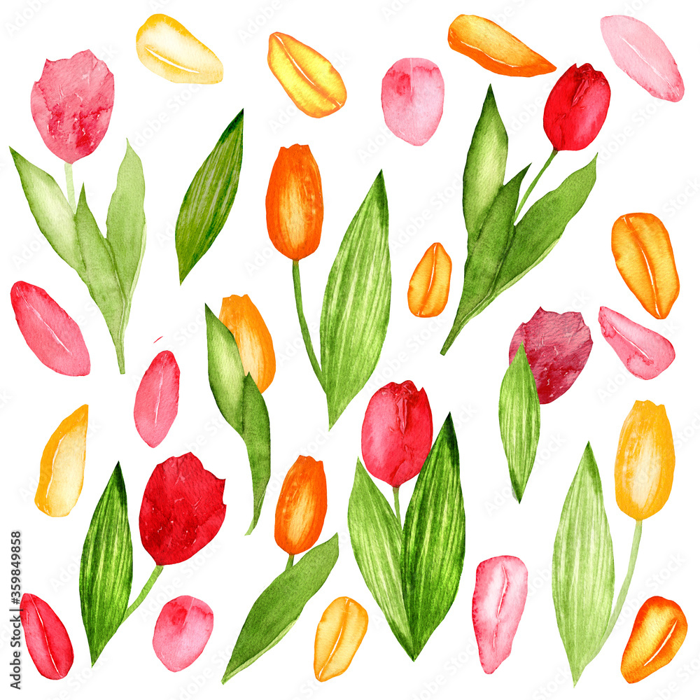 Seamless floral pattern with tulip flowers on white background.Template design for clothes,interior,textiles,wallpaper.Botanical art.