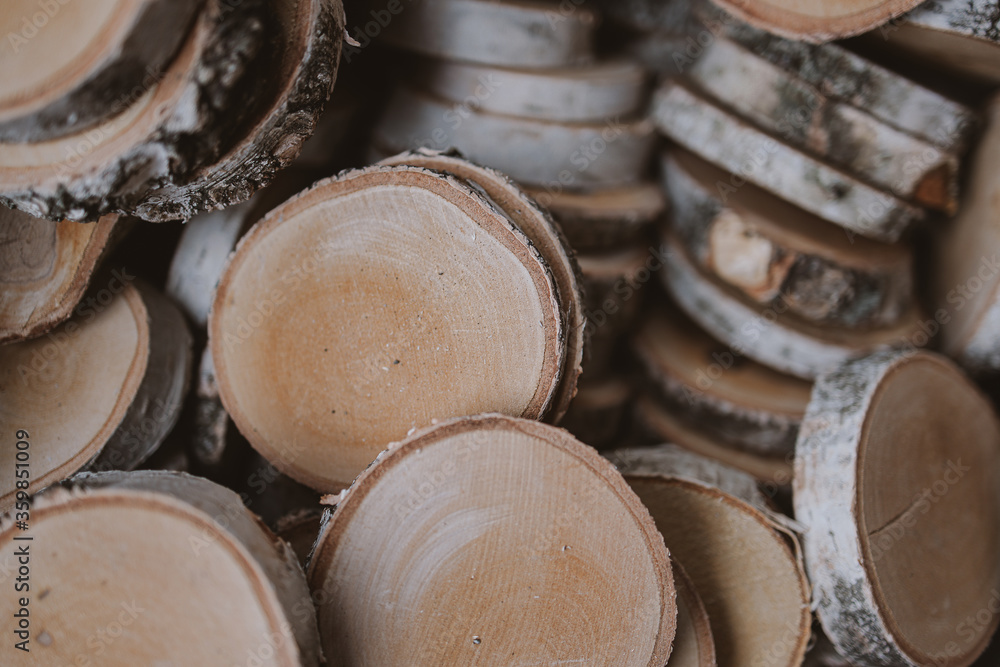 background from birch trunk cut into oval pieces background from birch trunk cut into oval pieces