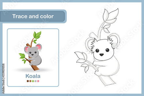 Drawing and vocabulary worksheet, Trace and colour : Koala