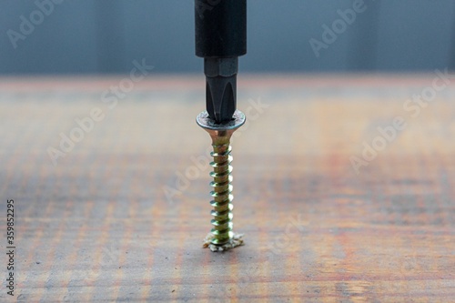 the metal screw crewed into the wooden board surface with screwdriver. home or workshop repair concept