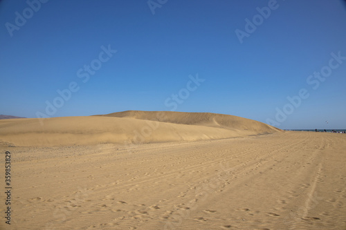 Fototapeta Naklejka Na Ścianę i Meble -  summer desert landscape on a warm sunny day from Maspalomas dunes on the Spanish island of Gran Canaria