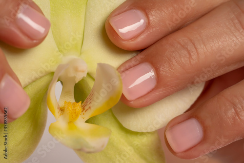Manicure pink nail polish, close up. 
