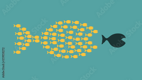 Photography group of small fishes hunting a big fish