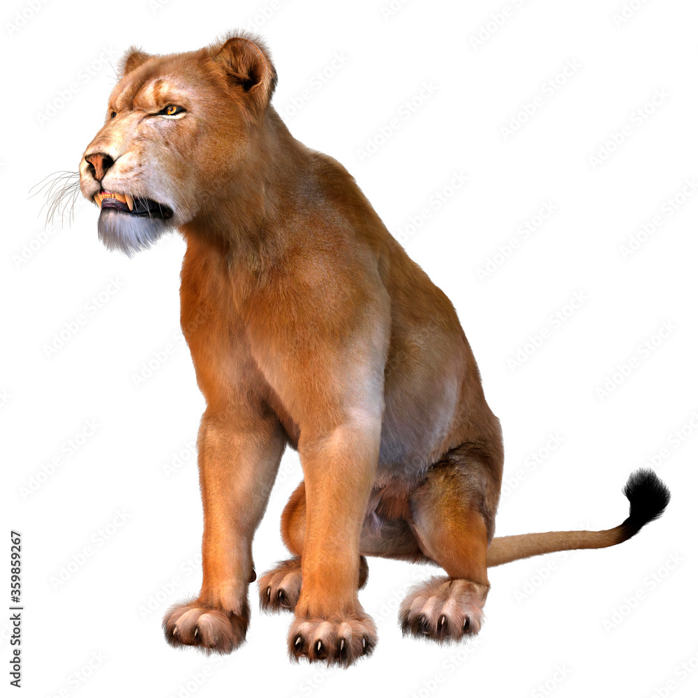 3D Rendering Female Lion on White