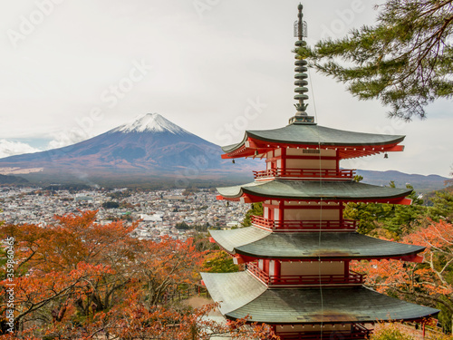 View of mountain fuji and Chureito Pagoda  Yamanashi  Japan.Beautiful landmark travel  in autumn season.