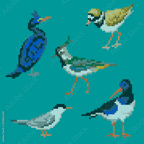 vector illustration cross stitch sea birds