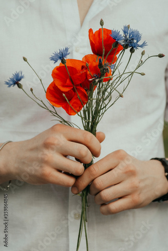 The red poppies
