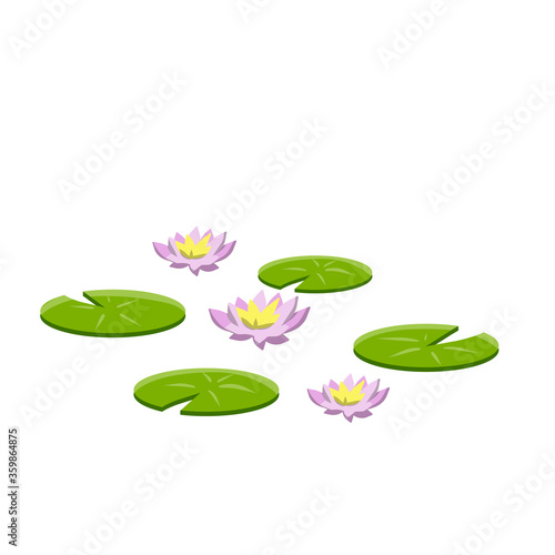 Nenuphars. Water lily. Plant on lake and pond. Big green leaf. Element of nature, forest and wild life. Swamp Pink flowers or lotus. Flat cartoon