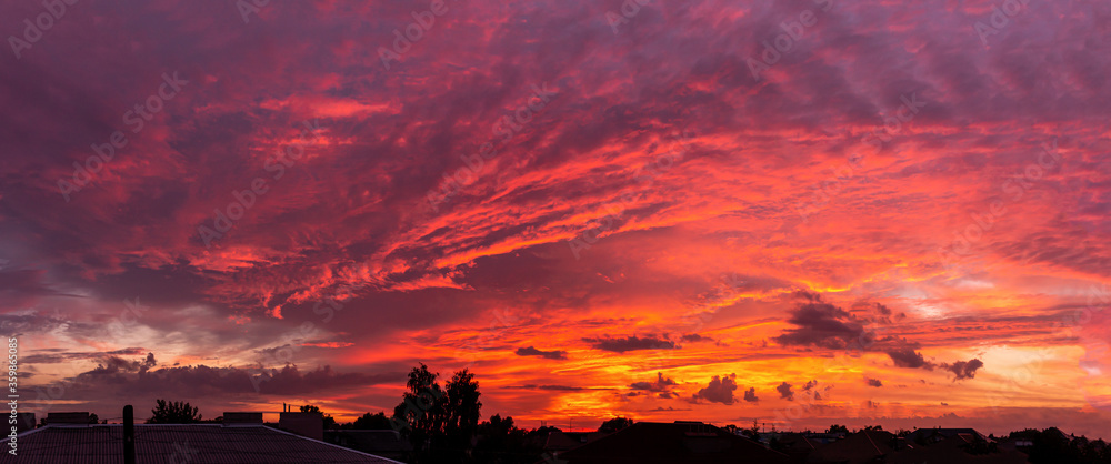 Pano of the amazing sunset or dawn sky, view under roofs and trees. Violet and orange colors.
