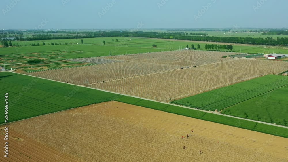 Field Field
