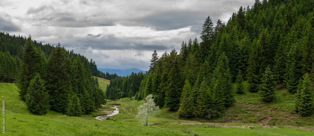 View from the road in Carpathian Mountains in Transylvania