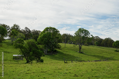 Landscape with blue sky, clouds, green grassy hill and trees.