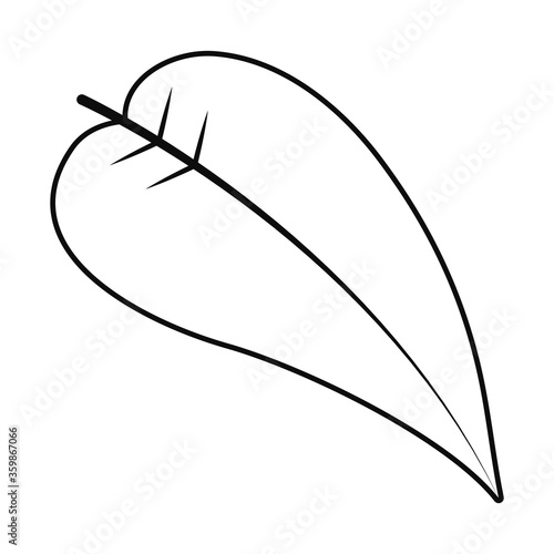 anthurium leaf icon, line style