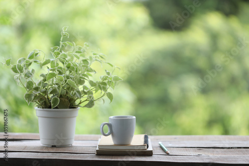 Cup with plant pot and brown notebook with pencil on wooden table with nature background