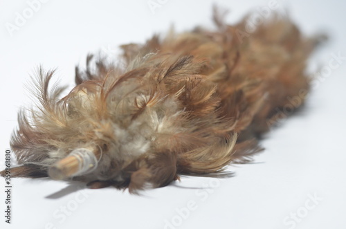 Cleaning: Feather Duster Isolated on White Background