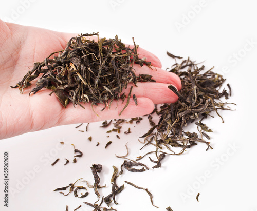 Huangshan Maofeng (Yellow Mountain Fur Peak) green chinese famous tea in a hand isolated on a white background. photo