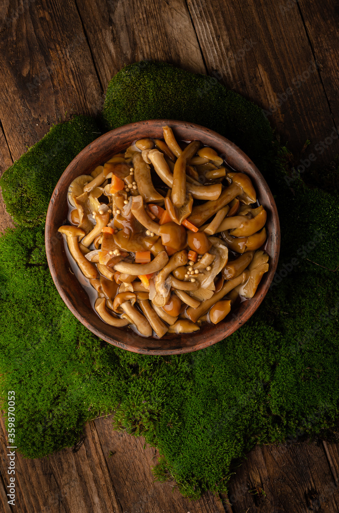 A large clay bowl with wild mushrooms (honey mushrooms), stands on an old wooden table with green moss. Eco products, natural gathering A large clay bowl with wild mushrooms (honey mushrooms), stands on an old wooden table with green moss. Eco products, natural gathering