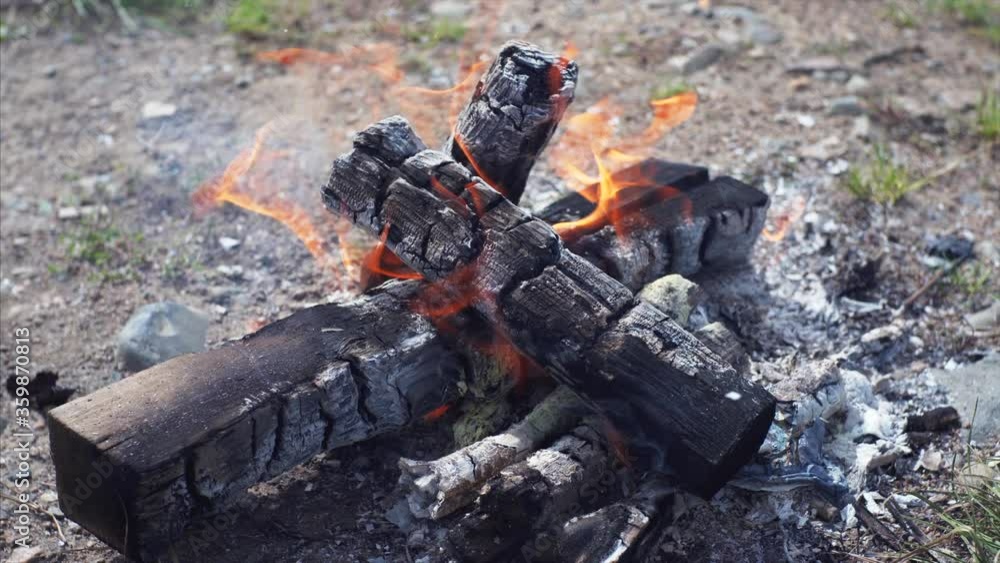 Close view of burning logs, bright camp fire