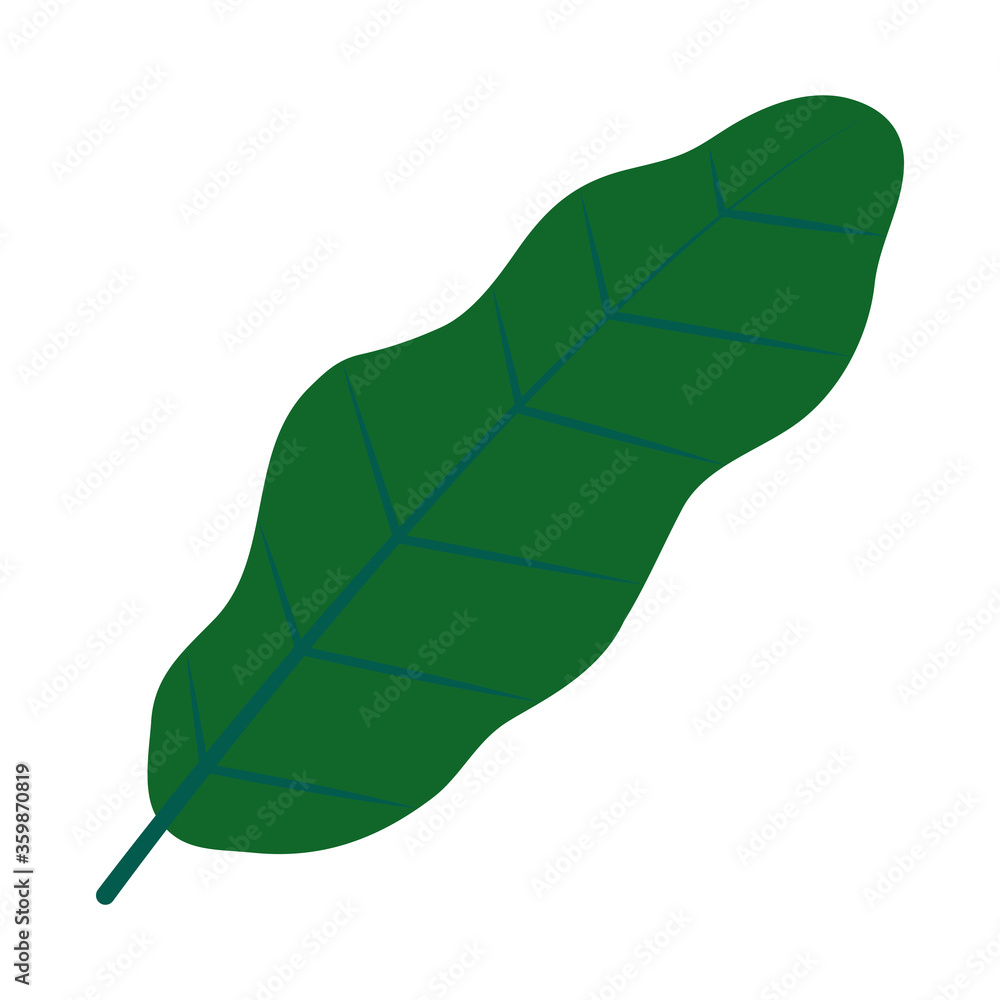 banana leaf icon, flat style banana leaf icon, flat style