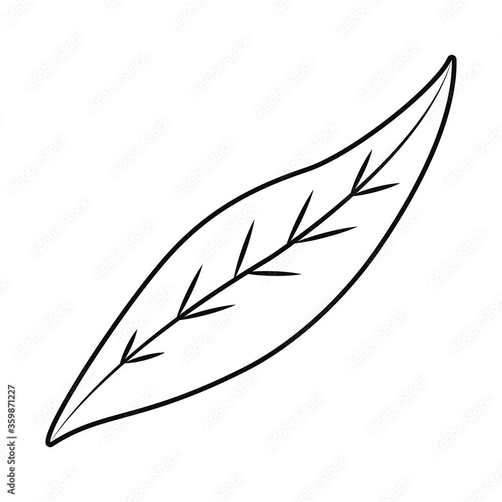 leaf icon image, line style leaf icon image, line style
