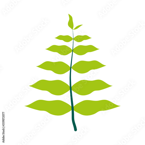 fern frond leaves icon, flat style