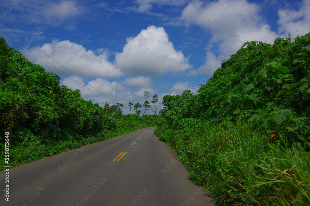 Paved road in the coast, surrounded with abundat vegetation in a sunny day in the Ecuadorian coasts