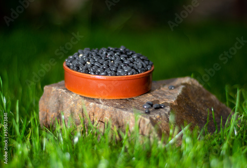 Ceramic bowl full of black beans on nature background