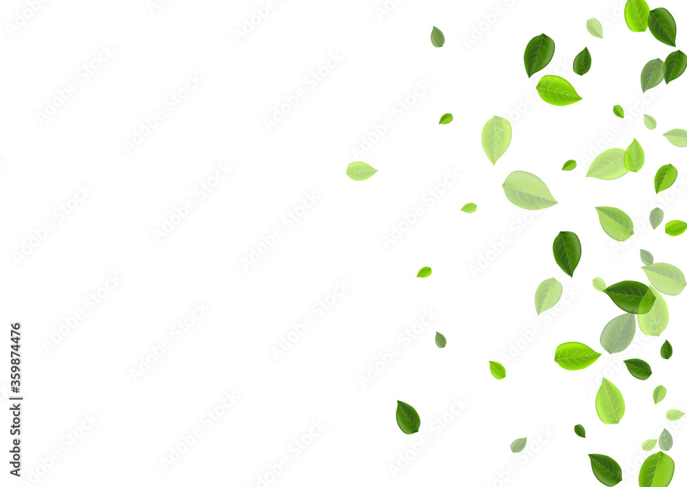 Grassy Greens Tree Vector Background. Organic Grassy Greens Tree Vector Background. Organic