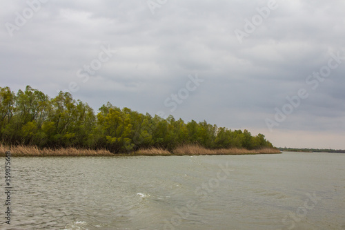 The river bank in the Danube Biosphere Reserve near the town of Vylkove. Ukraine © Shyshko Oleksandr