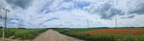 Dirt road between agricultural fields of Latvia.