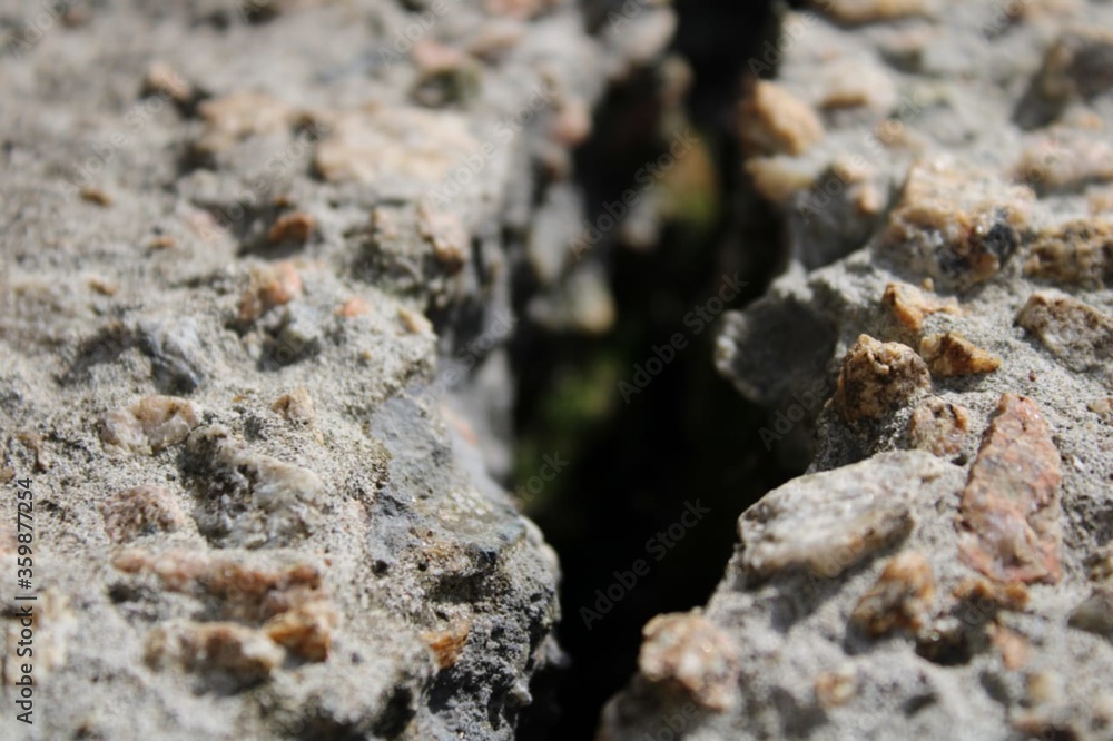 The crack,the fissure in the concrete The crack,the fissure in the concrete