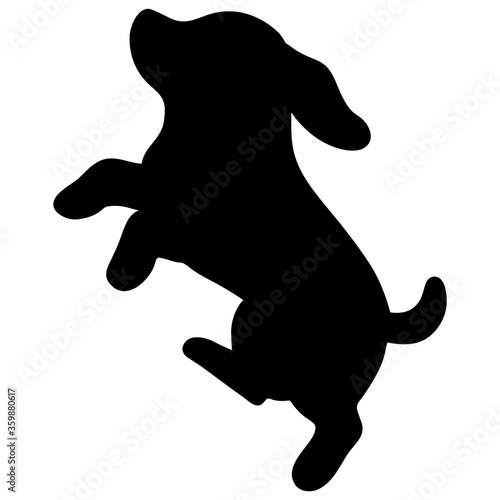 Silhouette of Beagle dog jumping